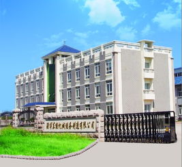 淄博東能煤氣工程技術開發 創新驅動，助力能源可持續發展